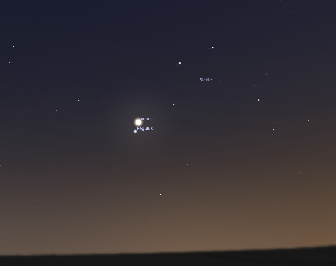 Sky chart showing Venus and Regulus in close conjunction low in the western sky on July 9, 2026. Venus appears as a bright, glowing white disk near the center of the frame, with the star Regulus just below it. The Sickle asterism of Leo is labeled above and to the right. The sky transitions from deep blue at the top to a warm orange-brown glow near the horizon, suggesting twilight conditions.