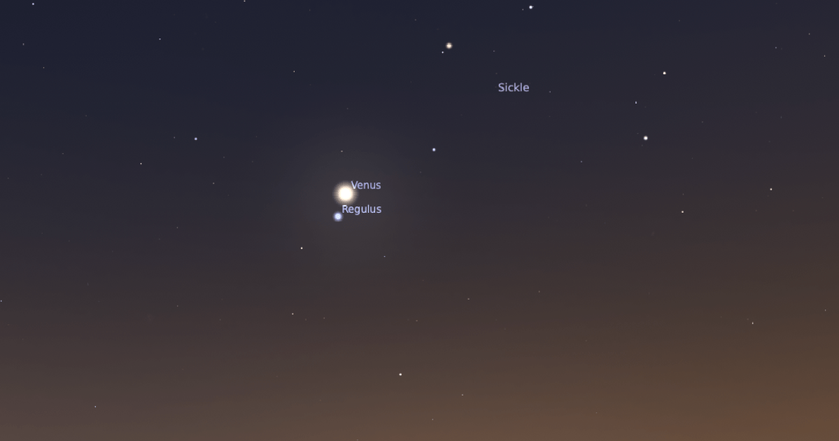 The Sky Today on Thursday, July 9: Venus stands above Regulus