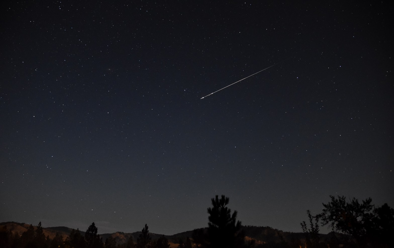 A wide-angle nightscape photograph showing a bright meteor streaking diagonally across a star-filled sky. The meteor leaves a sharp, glowing trail as it travels from upper right toward the center of the frame. The silhouettes of pine trees and rolling hills line the bottom of the image, with a faint warm glow along the horizon suggesting distant city lights or moonlight.