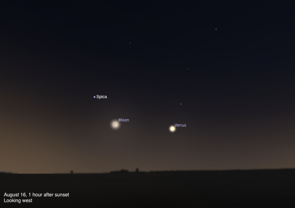 A sky chart showing the western sky on August 16, 2026, one hour after sunset. The crescent Moon and Venus are shown close together and brightly glowing low in the warm twilight sky, with the star Spica labeled just above and to the left of the Moon. The sky transitions from deep blue-black above to a warm brown-orange near the dark horizon silhouette.