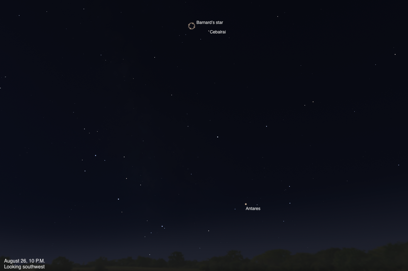 A sky chart showing the southwestern sky on August 26, 2026, at 10 P.M. Barnard's Star is highlighted with a circular marker near the top center, with the nearby star Cebalrai labeled just below it. The red supergiant Antares glows orange in the lower right. The sky is deep blue-black, fading to a slightly lighter tone near the dark treeline silhouette along the bottom.