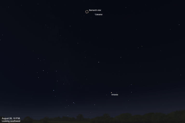 A sky chart showing the southwestern sky on August 26, 2026, at 10 P.M. Barnard's Star is highlighted with a circular marker near the top center, with the nearby star Cebalrai labeled just below it. The red supergiant Antares glows orange in the lower right. The sky is deep blue-black, fading to a slightly lighter tone near the dark treeline silhouette along the bottom.