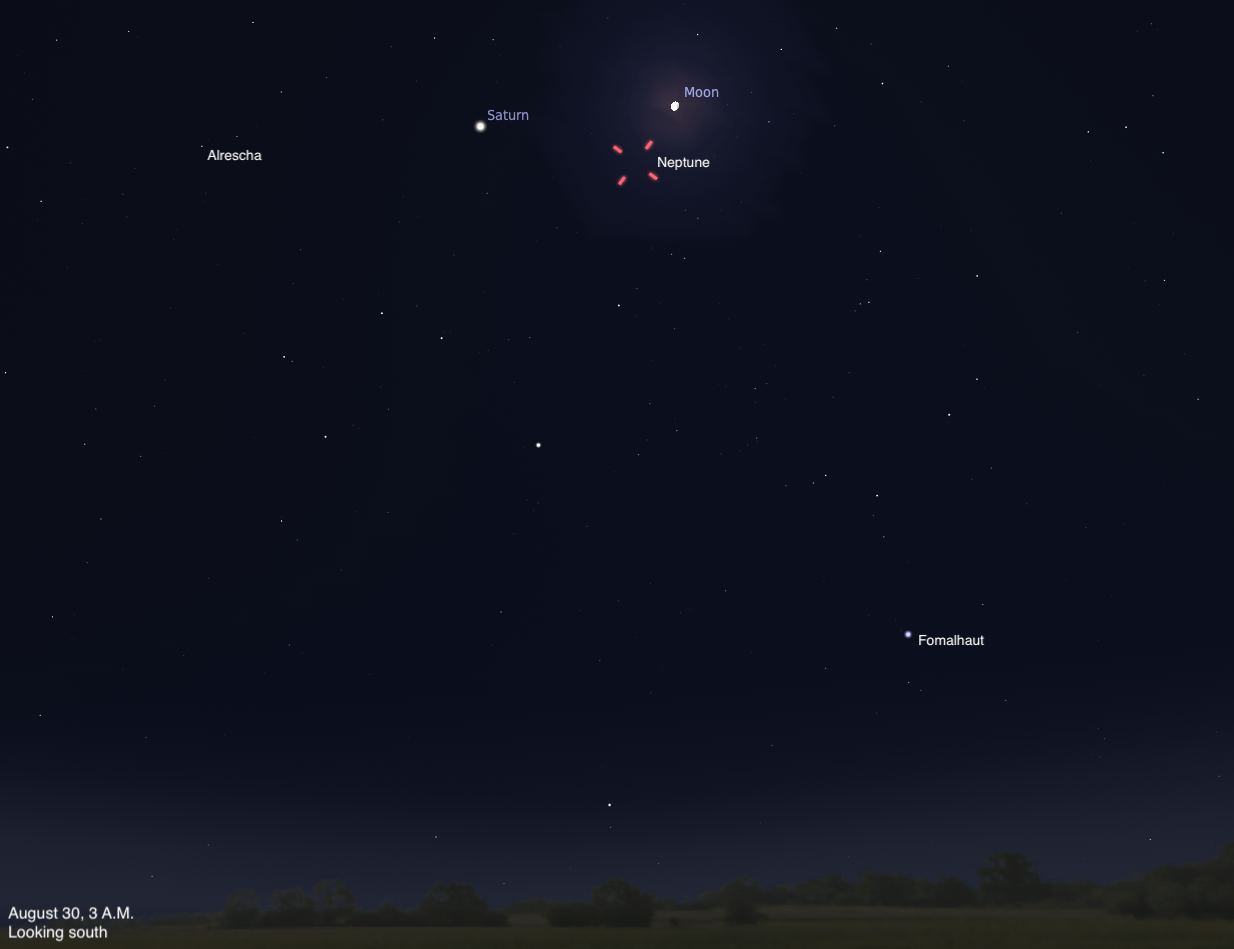 A sky chart showing the southern sky on August 30, 2026, at 3 A.M. The Moon glows brightly near the top center with Neptune highlighted by a red dashed circle just below it. Saturn is labeled as a bright point to the upper left. Fomalhaut is visible as a faint point in the lower right. The sky is deep blue-black, fading to a slightly lighter tone near the dark treeline silhouette along the bottom.