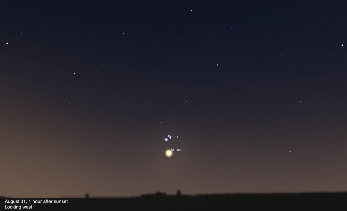A sky chart showing the western sky on August 31, 2026, one hour after sunset. Venus shines brilliantly in the lower center of the image, with the star Spica labeled as a smaller blue-white point just above it. The sky fades from deep blue-black above to a warm brown-orange twilight glow near the dark horizon silhouette.