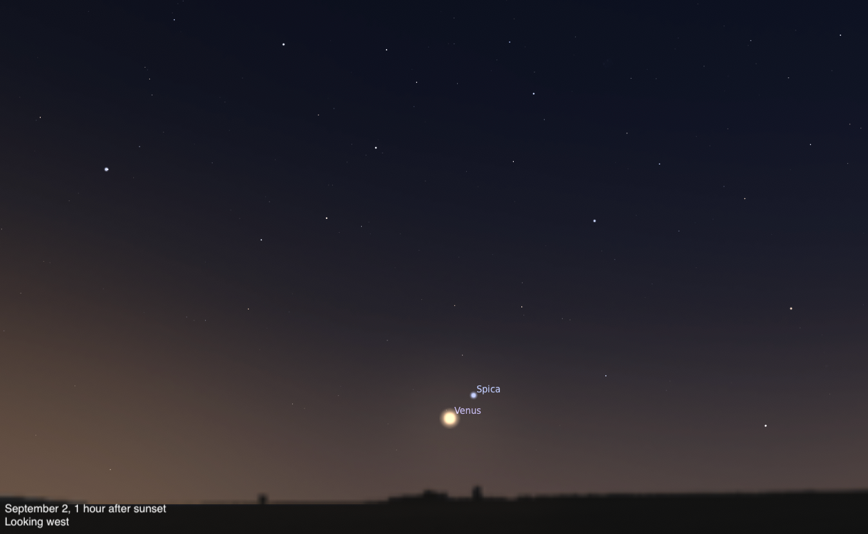 A sky chart showing the western sky on September 2, 2026, one hour after sunset. Venus shines brilliantly low in the center of the image, with the star Spica labeled as a smaller blue-white point just above it. Compared to two nights prior, both objects have shifted noticeably lower toward the horizon. The sky fades from deep blue-black above to a warm brown-orange twilight glow near the dark horizon silhouette.