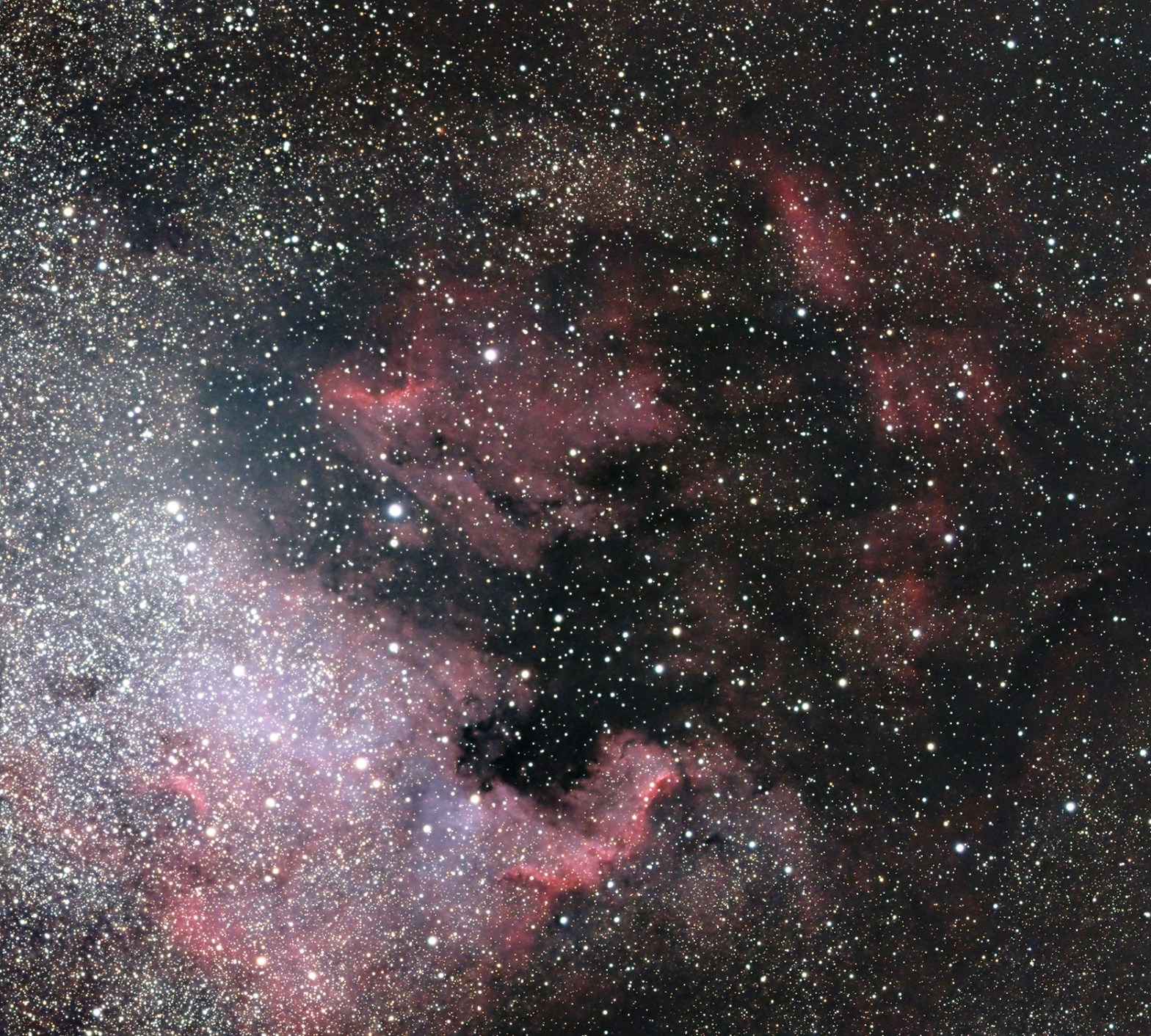 A wide-field telescopic photograph of the North America Nebula (NGC 7000) region, showing sweeping clouds of red and pink hydrogen emission gas interwoven with dark dust lanes against a densely star-filled background. A bright concentration of stars is visible along the left edge, and the characteristic shape of the nebula's dark "Gulf of Mexico" region is visible as a dark void near the center.