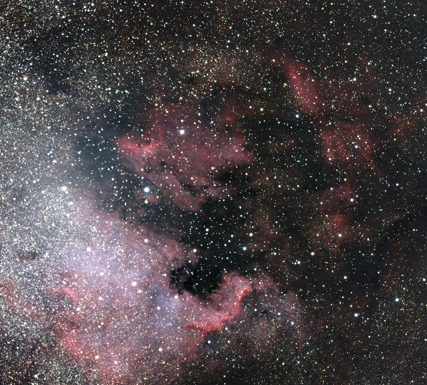 A wide-field telescopic photograph of the North America Nebula (NGC 7000) region, showing sweeping clouds of red and pink hydrogen emission gas interwoven with dark dust lanes against a densely star-filled background. A bright concentration of stars is visible along the left edge, and the characteristic shape of the nebula's dark "Gulf of Mexico" region is visible as a dark void near the center.