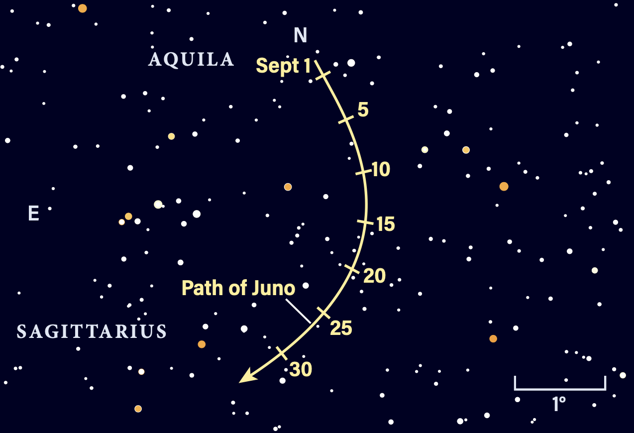 Path of asteroid Juno in September 2026