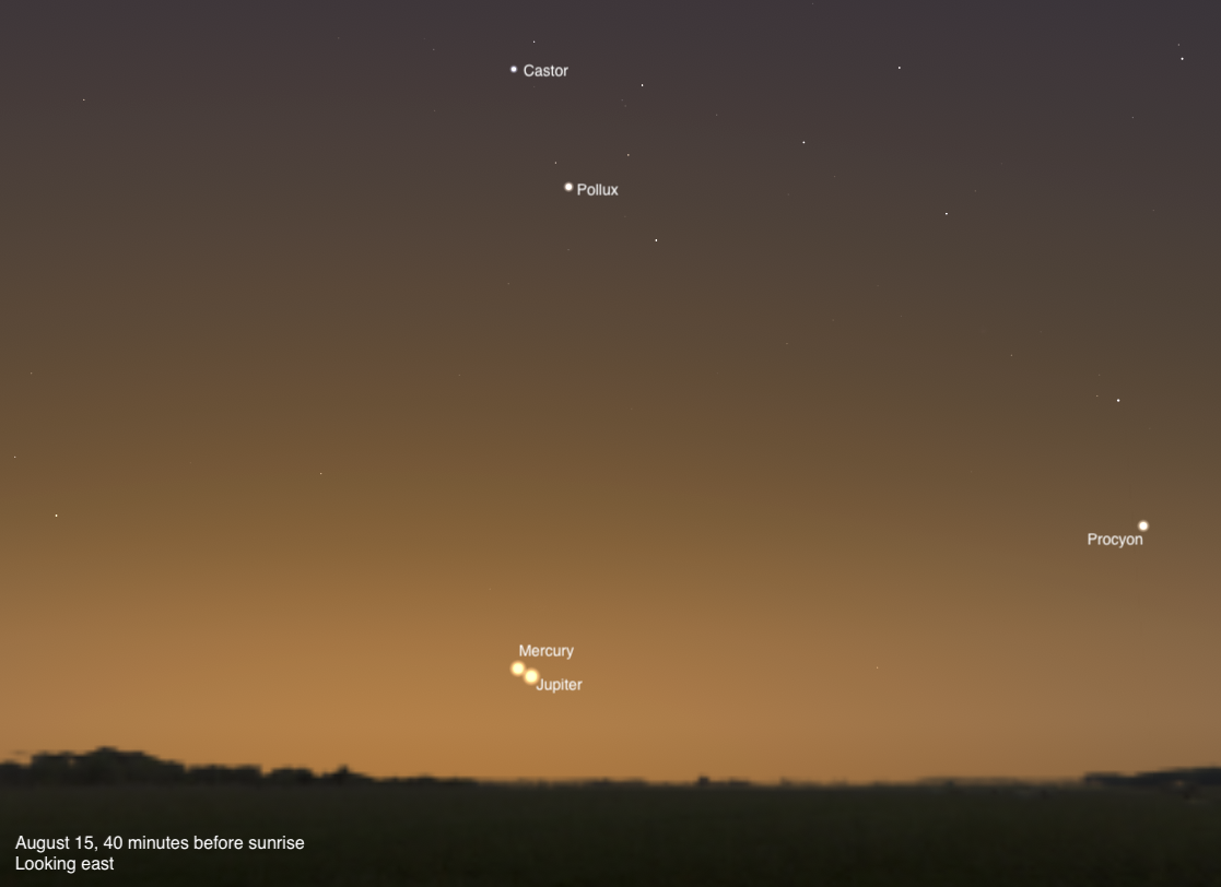 A sky chart showing the eastern sky on August 15, 2026, 40 minutes before sunrise. Mercury and Jupiter are shown in very close conjunction near the horizon, appearing as a tight pair of bright points just above the dark treeline silhouette in a warm golden-orange pre-dawn sky. Castor and Pollux are labeled in the upper center, and Procyon is visible to the right.