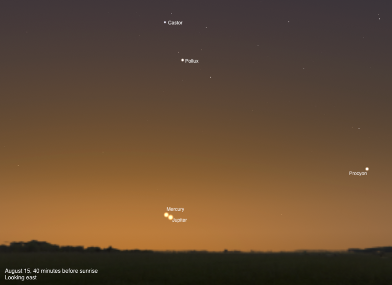 A sky chart showing the eastern sky on August 15, 2026, 40 minutes before sunrise. Mercury and Jupiter are shown in very close conjunction near the horizon, appearing as a tight pair of bright points just above the dark treeline silhouette in a warm golden-orange pre-dawn sky. Castor and Pollux are labeled in the upper center, and Procyon is visible to the right.