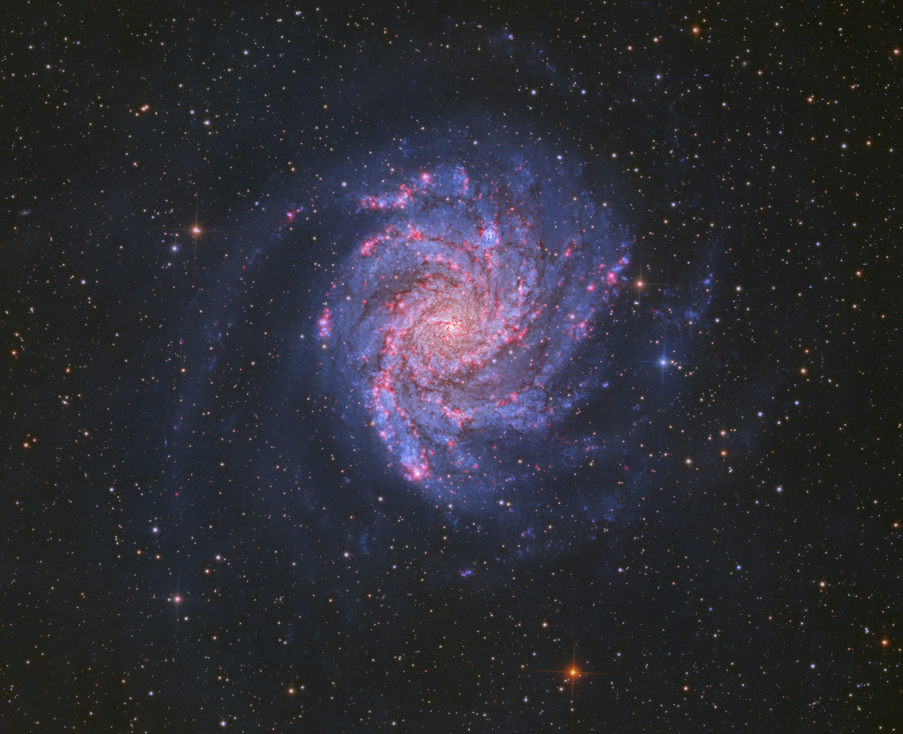 Ten supernovae and counting | Astronomy Magazine