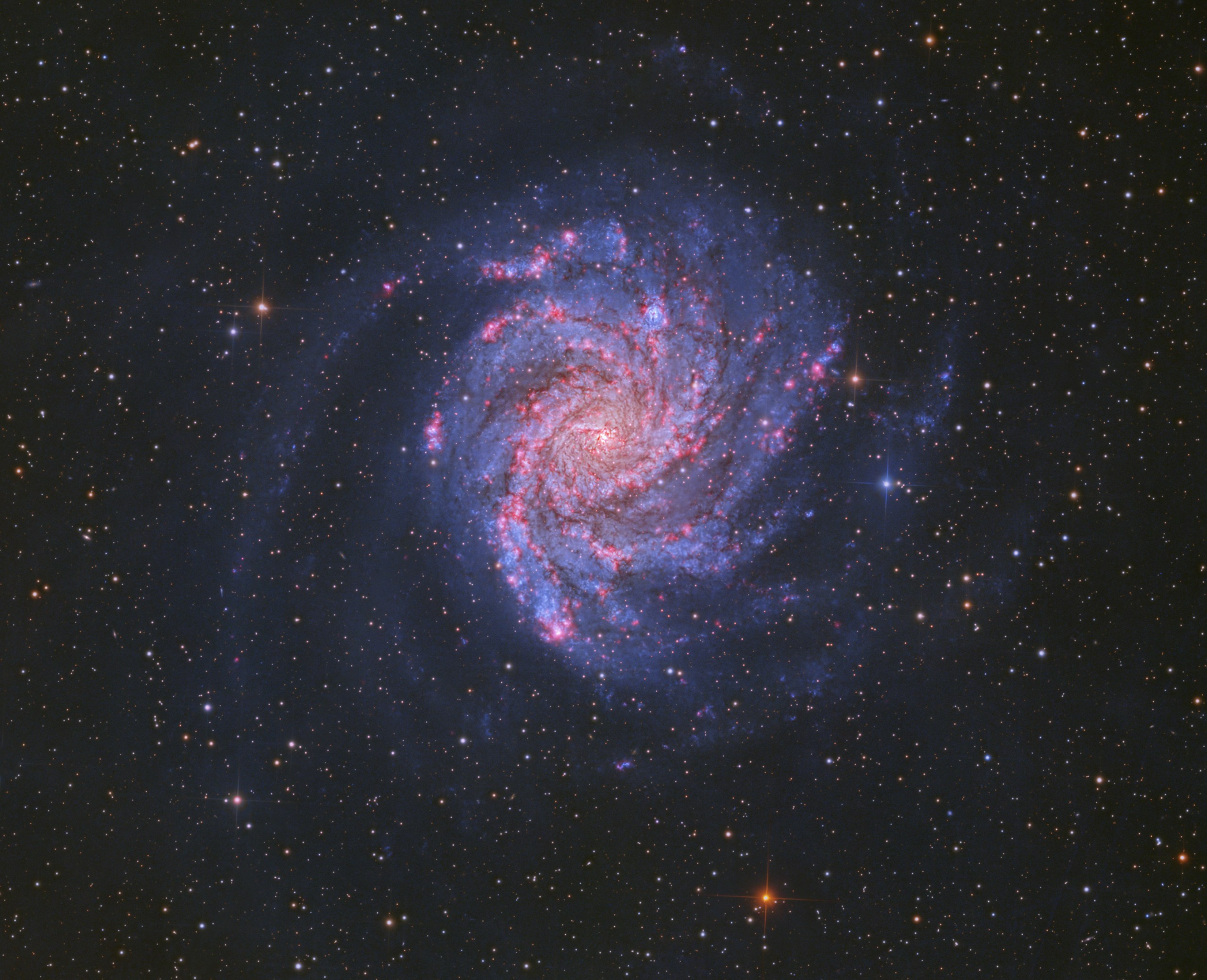 A softly glowing blue-white spiral galaxy sits centered in the frame, its curved arms wrapped tightly around a bright core. Pink patches are scattered along the arms where they wind outward. The background is filled with countless faint stars, with a few brighter, colorful ones scattered nearby.