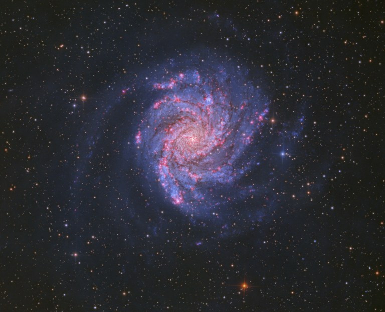 A softly glowing blue-white spiral galaxy sits centered in the frame, its curved arms wrapped tightly around a bright core. Pink patches are scattered along the arms where they wind outward. The background is filled with countless faint stars, with a few brighter, colorful ones scattered nearby.