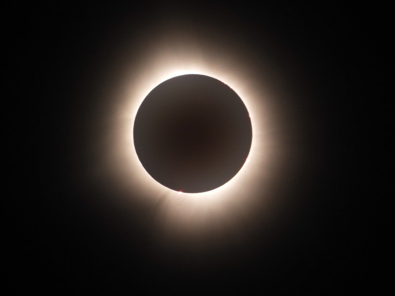 A photograph of a total solar eclipse at totality, showing the Moon as a dark disc completely blocking the Sun, surrounded by the softly glowing white solar corona against a black sky. Several small pink solar prominences are visible along the edge of the Moon.