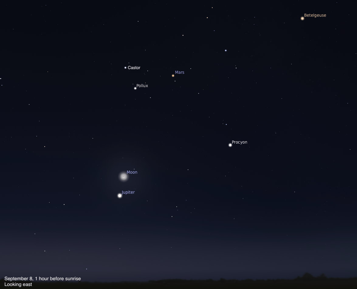 A sky chart showing the eastern sky on September 8, 2026, one hour before sunrise. The crescent Moon and Jupiter are shown in close proximity in the lower center, with Jupiter just below the Moon. Mars glows orange in the upper center, with Castor and Pollux labeled to its left. Procyon is visible to the right, and Betelgeuse glows orange in the upper right corner. The sky fades from deep blue-black above to a subtle twilight glow near the dark horizon silhouette.