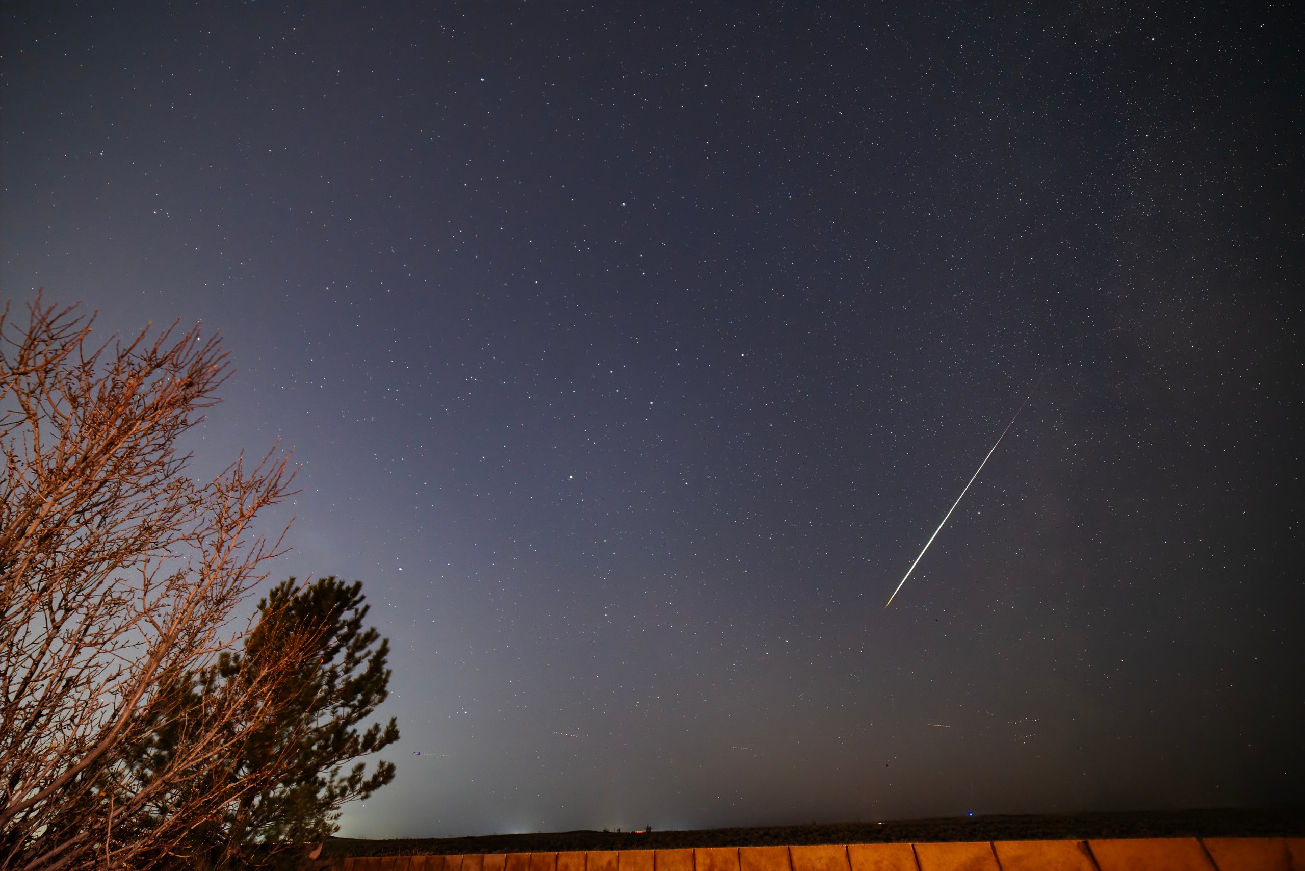 A wide-angle night sky photograph showing a bright Perseid meteor streaking diagonally across the right side of the deep blue starry sky. A bare-branched tree and a pine tree are silhouetted in the lower left, and a faint yellowish glow of light pollution is visible on the horizon. A wooden fence rail runs along the bottom of the frame.