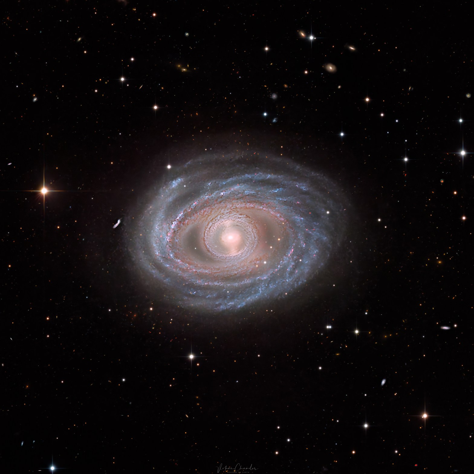 A detailed telescopic photograph of a face-on barred spiral galaxy, showing tightly wound blue spiral arms laced with pink star-forming regions surrounding a soft, glowing golden core. Several distant background galaxies are visible scattered across the black field, and a bright foreground star with diffraction spikes is visible to the left.