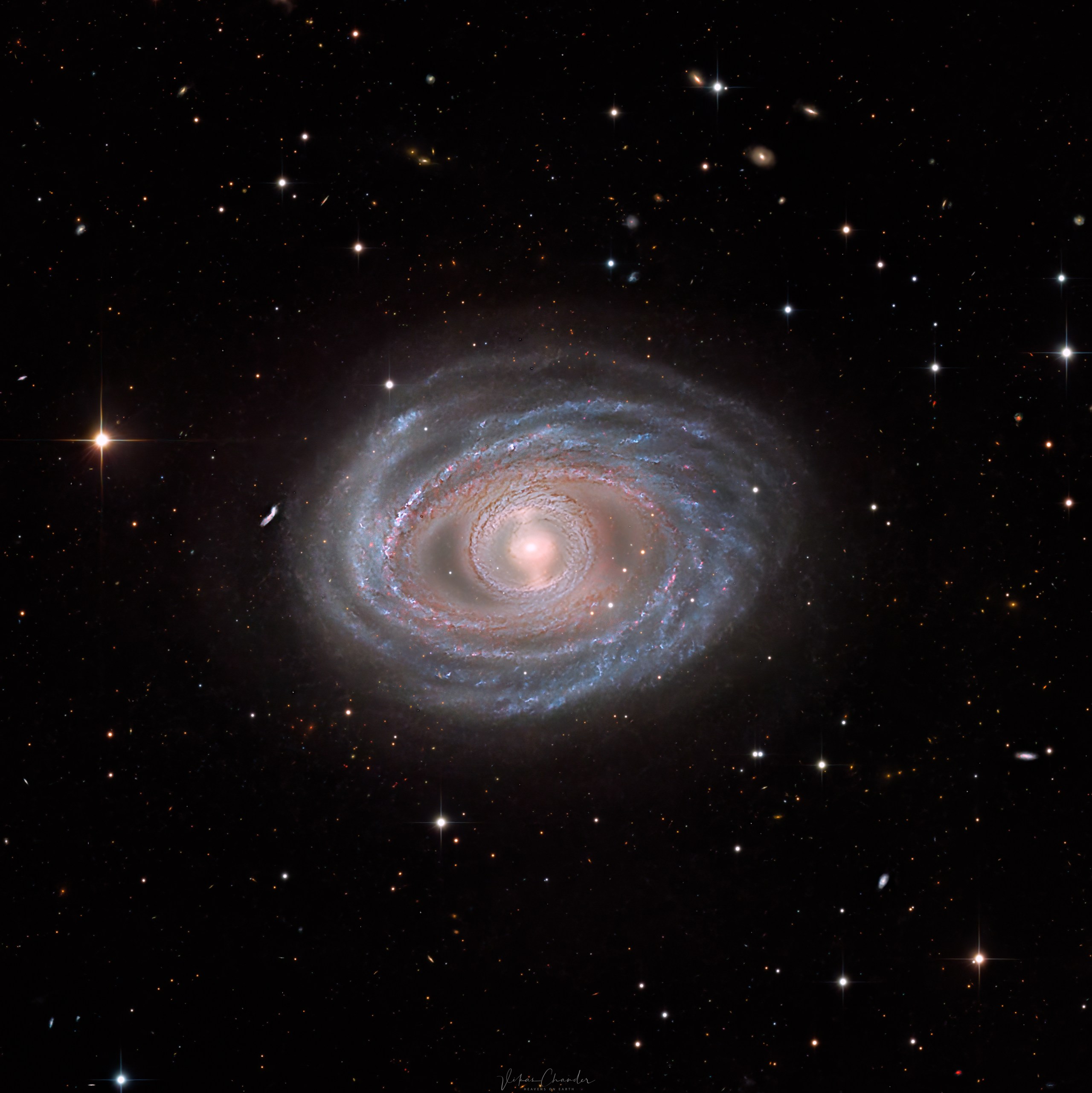 A detailed telescopic photograph of a face-on barred spiral galaxy, showing tightly wound blue spiral arms laced with pink star-forming regions surrounding a soft, glowing golden core. Several distant background galaxies are visible scattered across the black field, and a bright foreground star with diffraction spikes is visible to the left.