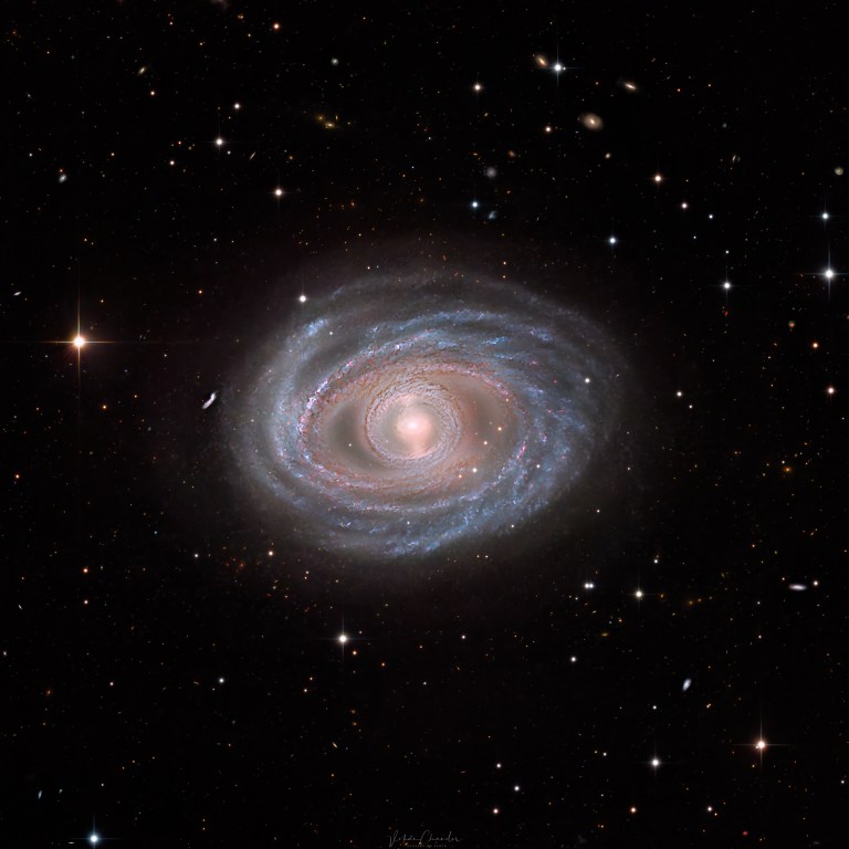 A detailed telescopic photograph of a face-on barred spiral galaxy, showing tightly wound blue spiral arms laced with pink star-forming regions surrounding a soft, glowing golden core. Several distant background galaxies are visible scattered across the black field, and a bright foreground star with diffraction spikes is visible to the left.