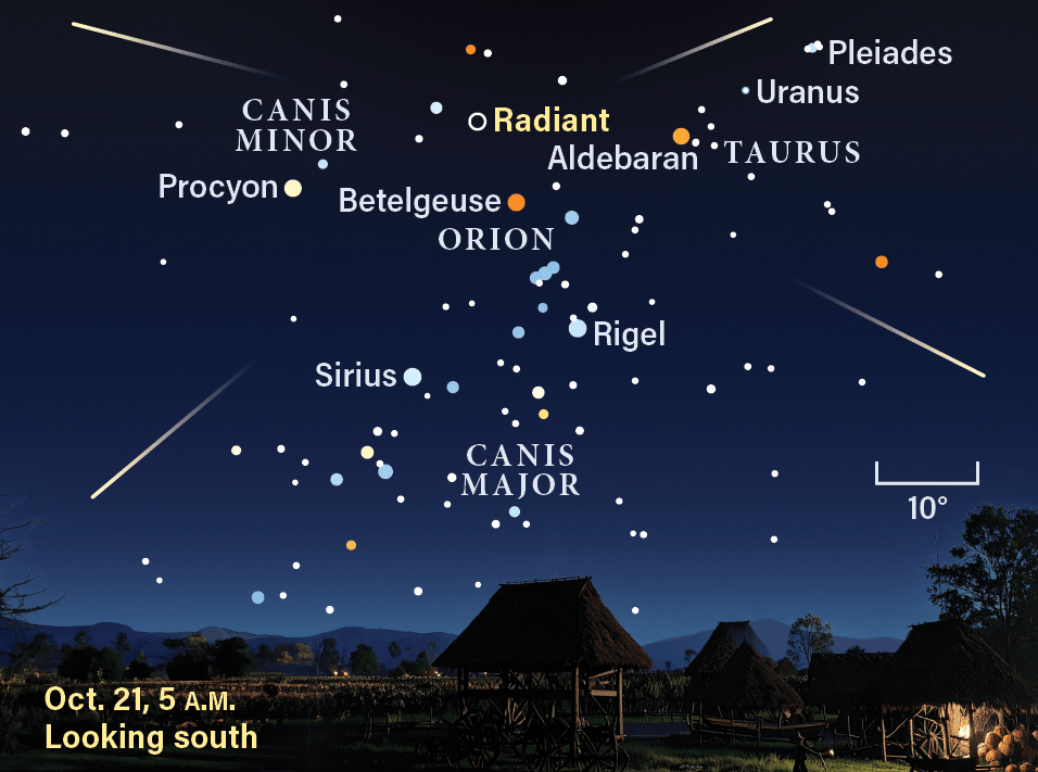 The sky during the peak of the Orionid meteor shower on October 21, 2026, at 5 AM, looking south