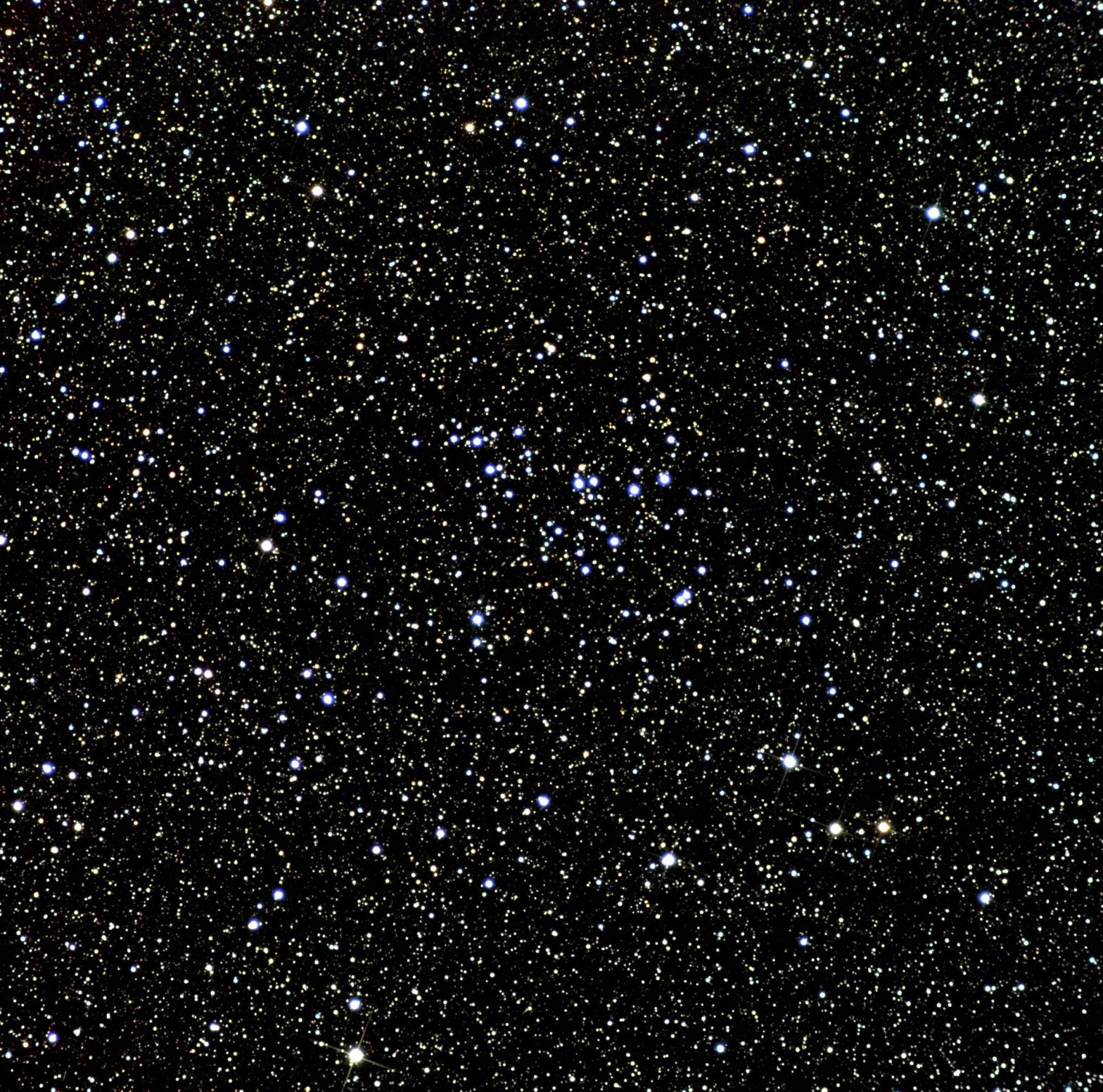 A telescopic photograph of NGC 7243, a loose open star cluster set against a densely packed star field. The cluster's members are scattered loosely near the center of the image, with a mix of bright blue-white stars standing out against a background of countless fainter yellow-white and gold stars on a black sky.