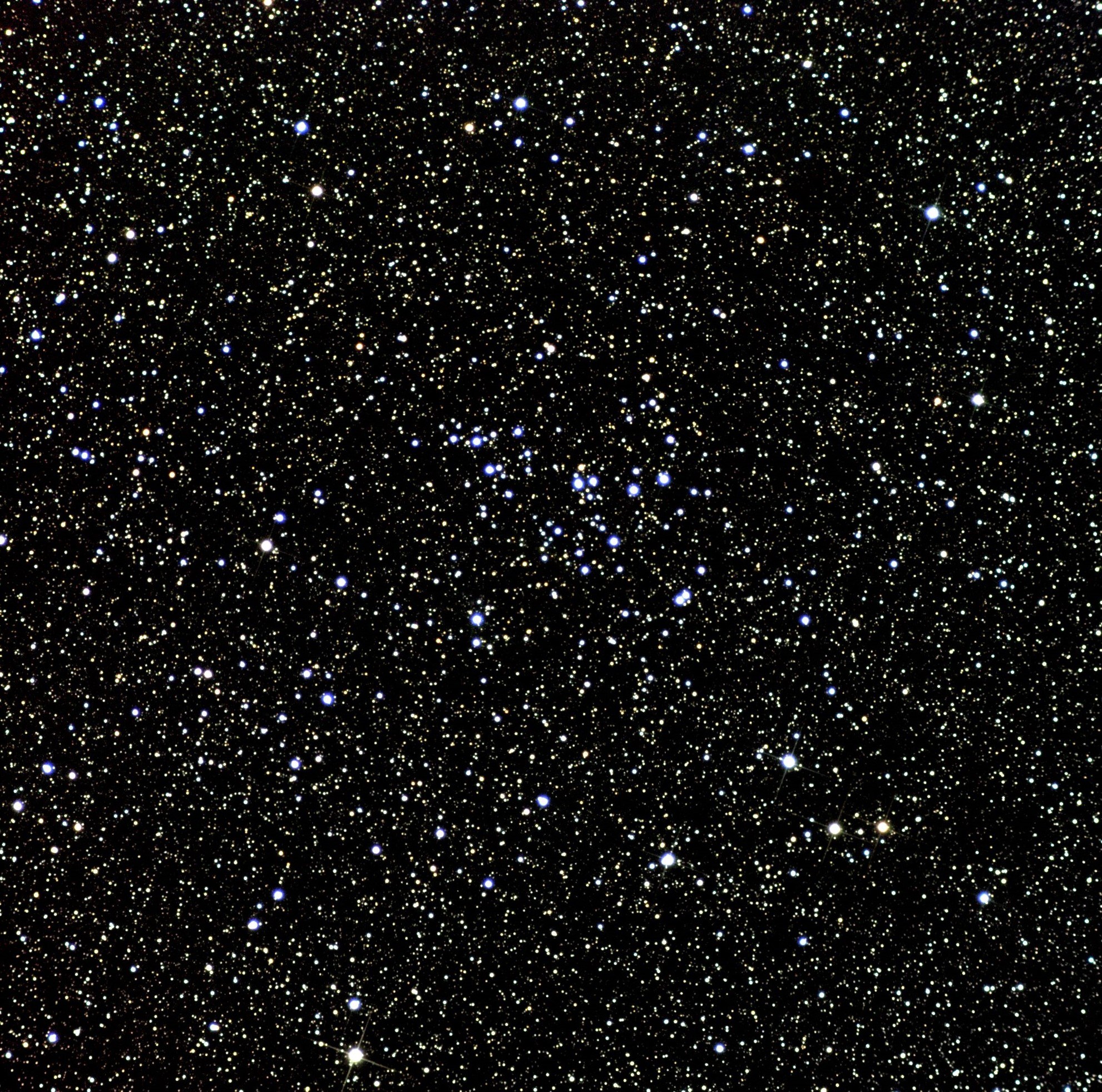 A telescopic photograph of NGC 7243, a loose open star cluster set against a densely packed star field. The cluster's members are scattered loosely near the center of the image, with a mix of bright blue-white stars standing out against a background of countless fainter yellow-white and gold stars on a black sky.