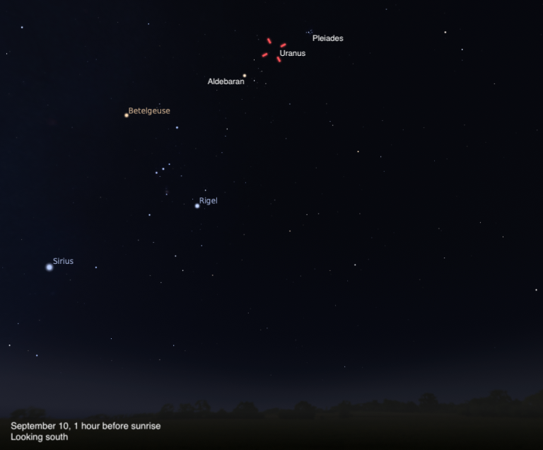 A sky chart showing the southern sky on September 10, 2026, one hour before sunrise. Uranus is highlighted with a red dashed marker near the top center, just below and left of the Pleiades star cluster. Aldebaran is labeled below Uranus, and the constellation Orion is prominent in the center with Betelgeuse glowing orange to the upper left and Rigel labeled below, with Orion's belt stars visible between them. Sirius shines brightly in the lower left. The sky fades from deep blue-black above to a subtle twilight glow near the dark treeline silhouette along the bottom.