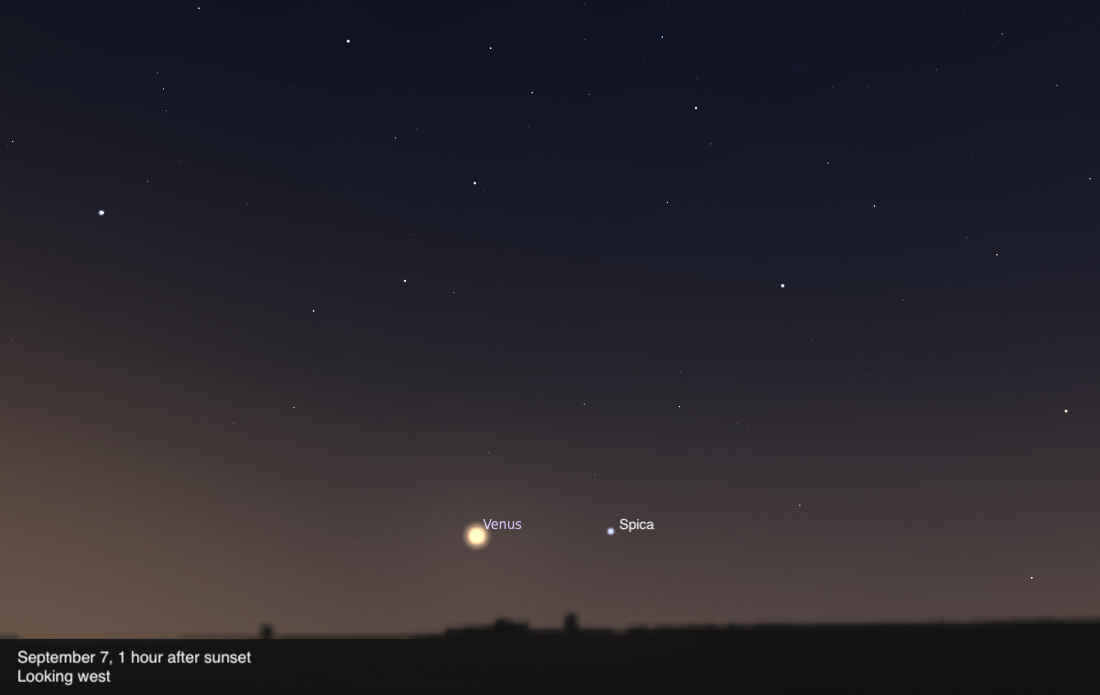 A sky chart showing the western sky on September 7, 2026, one hour after sunset. Venus shines brilliantly low near the center of the image, with the star Spica labeled as a smaller blue-white point just to its right. The sky fades from deep blue-black above to a warm brown-orange twilight glow near the dark horizon silhouette.