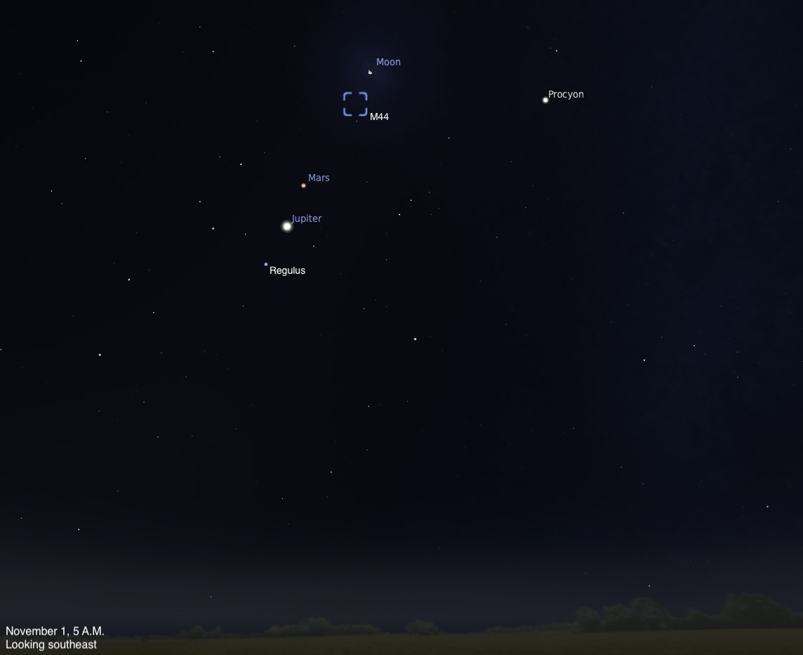 Simulated view of a dark predawn sky, dated November 1, 2026, 5 A.M., looking southeast. A thin crescent Moon is labeled at top center, with the open cluster M44 marked by a blue bracket just below it. Mars and Jupiter are labeled lower left of center, with Jupiter below Mars and Regulus just below Jupiter. Procyon is labeled at upper right.