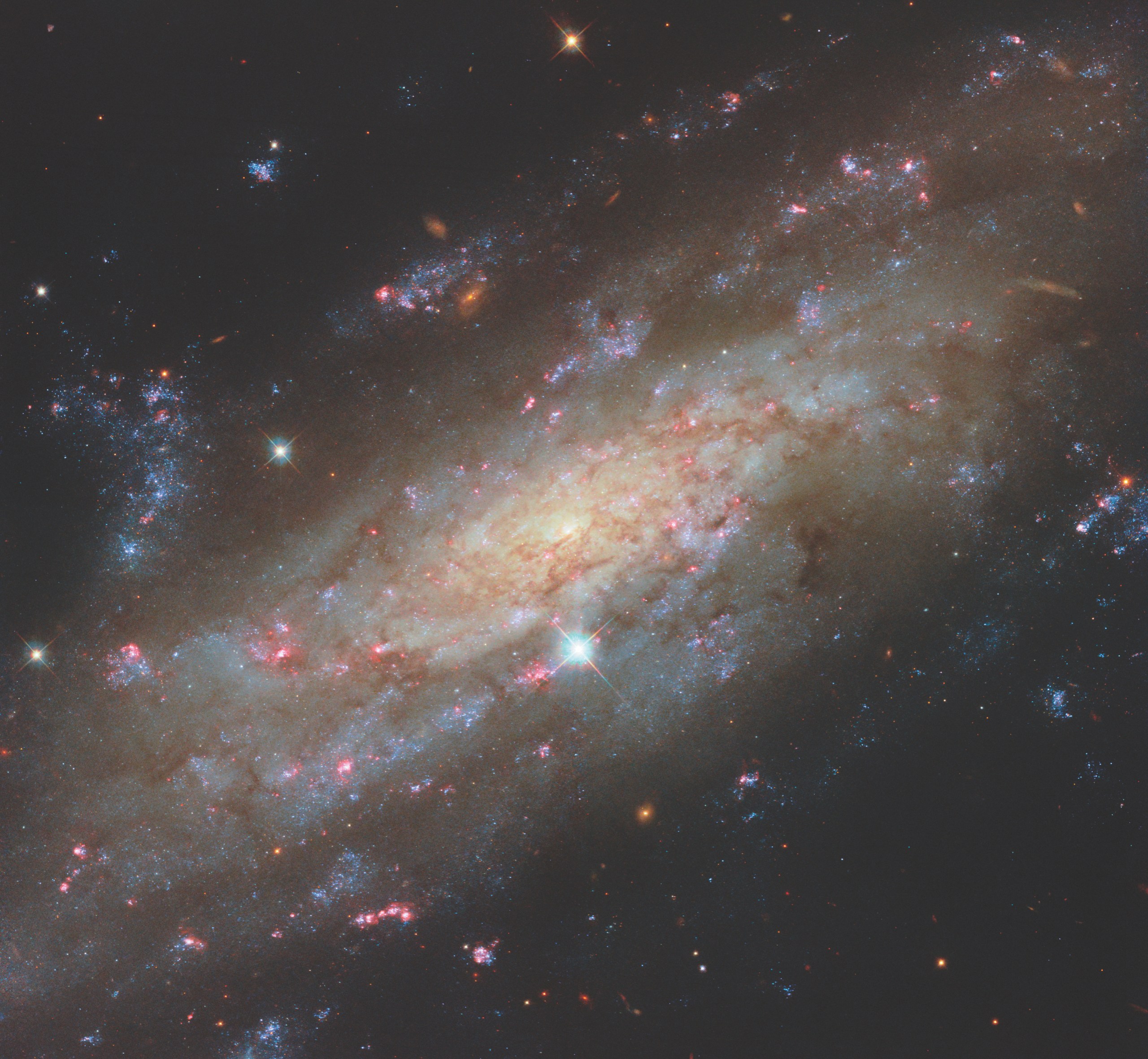 Photograph of a spiral galaxy tilted diagonally across the frame, with a glowing golden-tan core threaded with brown dust lanes and pink star-forming regions. Blue-white spiral arms and clusters of young stars extend outward from the core toward the upper right and lower left. A bright blue-white star with prominent diffraction spikes sits just below the core, and several other foreground stars with spikes are scattered across the dark background, along with a few small orange background galaxies.