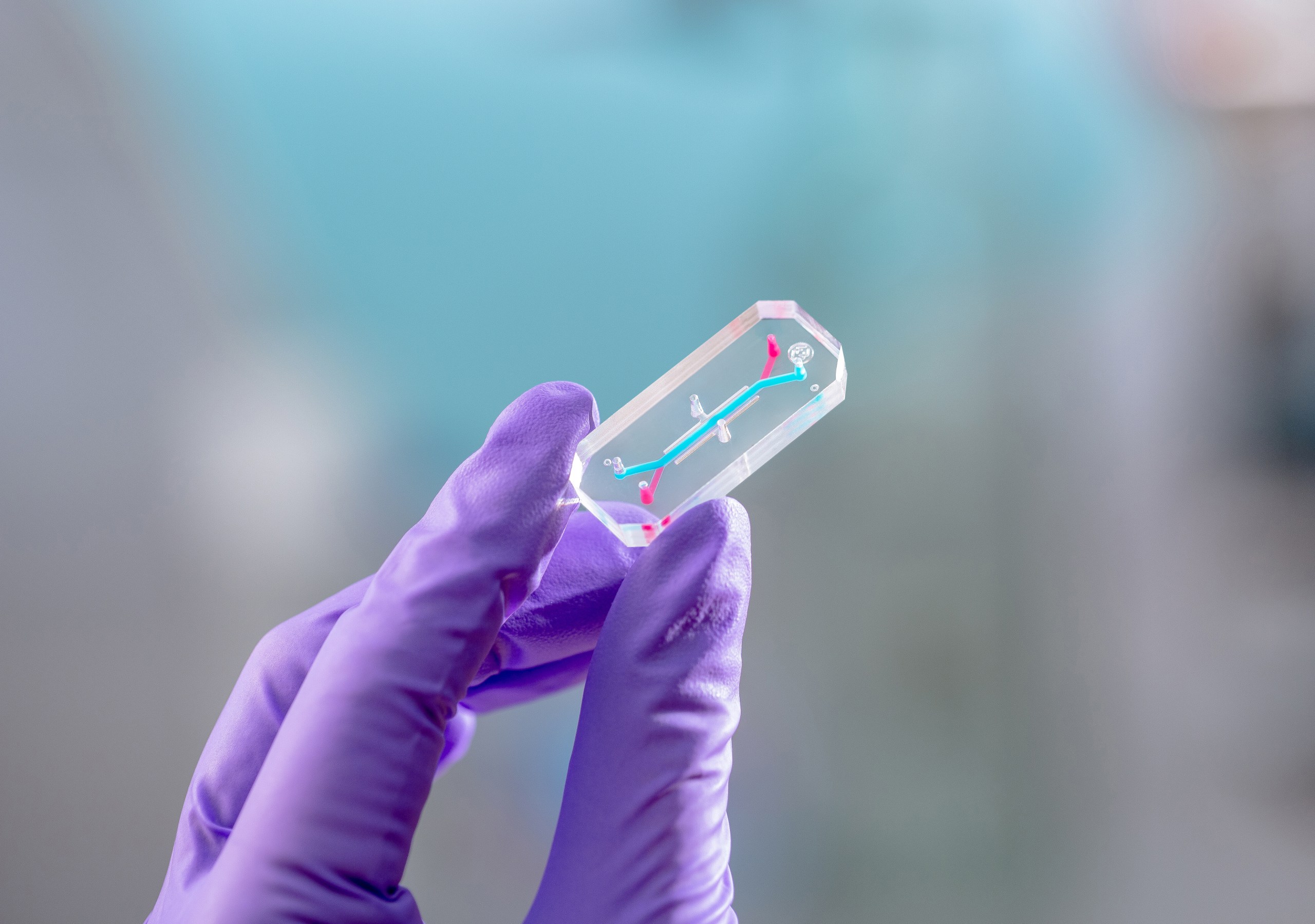 Close-up photograph of a hand in a purple glove holding a small, clear, rectangular microfluidic chip with bevelled edges. Thin blue and pink channels run through the chip, set against a softly blurred teal and gray laboratory background.