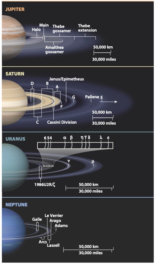 Diagram comparing the ring systems of the four giant planets in four stacked panels labeled Jupiter, Saturn, Uranus, and Neptune, each with a partial planet at left. Jupiter’s rings are labeled Halo, Main, Amalthea gossamer, Thebe gossamer, and Thebe extension. Saturn’s are labeled D, C, B, A, F, G, E, Cassini Division, Janus/Epimetheus, and Pallene. Uranus’s are labeled 6, 5, 4, alpha, beta, eta, gamma, delta, lambda, epsilon, nu, mu, and 1986U2R/zeta, with an enlarged inset of the narrow inner rings. Neptune’s are labeled Galle, Le Verrier, Arago, Adams, Lassell, and Arcs. Each panel includes a scale bar reading 50,000 km and 30,000 miles.