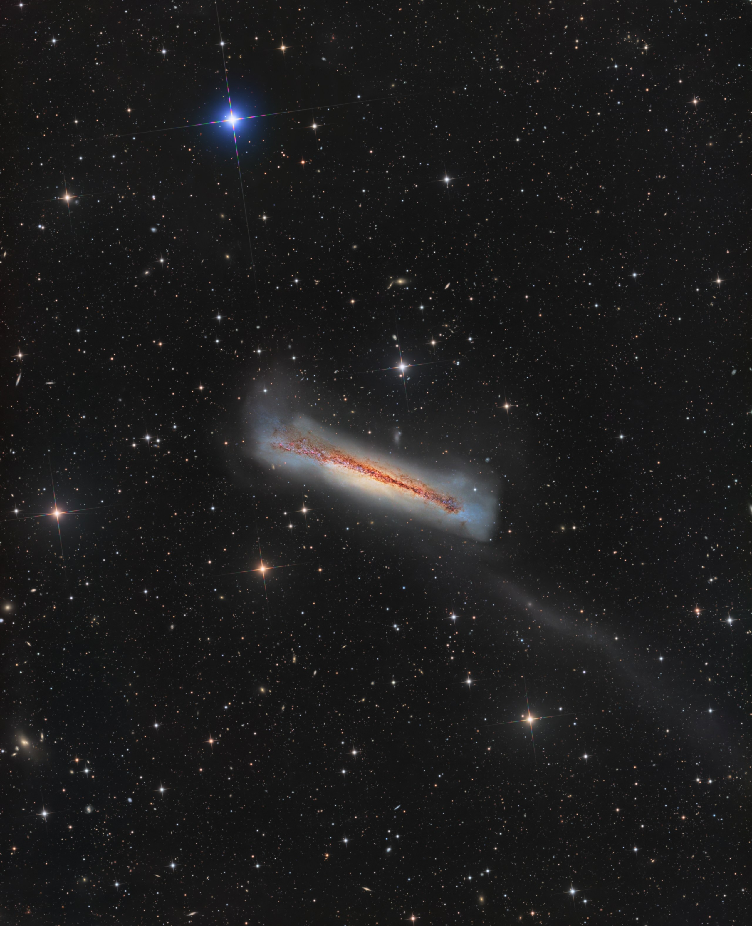 A long, tilted galaxy sits in the center of the frame, a glowing pale-yellow band crossed lengthwise by a dark, rusty-red streak, with a hazy bluish-white glow flaring at both ends. A very faint gray trail stretches from its right end down toward the lower-right corner. Hundreds of small white, gold, and orange stars and tiny distant galaxies fill the black background, with one bright blue star near the top.