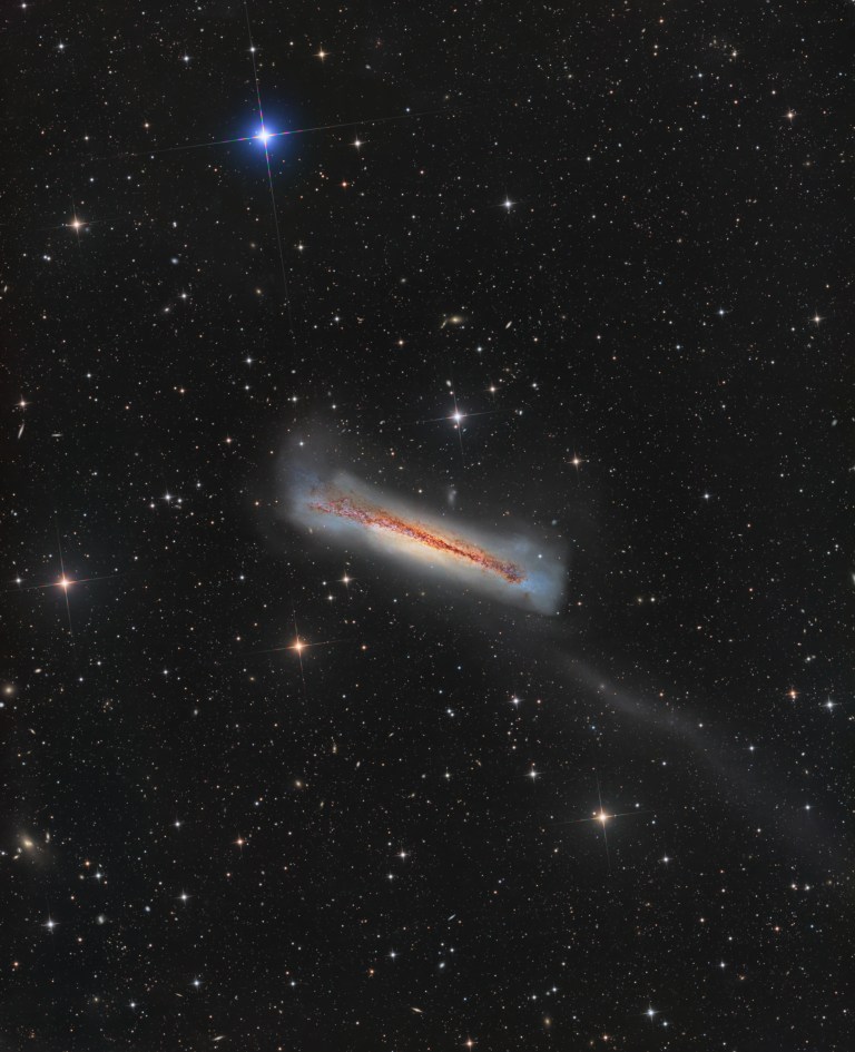 A long, tilted galaxy sits in the center of the frame, a glowing pale-yellow band crossed lengthwise by a dark, rusty-red streak, with a hazy bluish-white glow flaring at both ends. A very faint gray trail stretches from its right end down toward the lower-right corner. Hundreds of small white, gold, and orange stars and tiny distant galaxies fill the black background, with one bright blue star near the top.