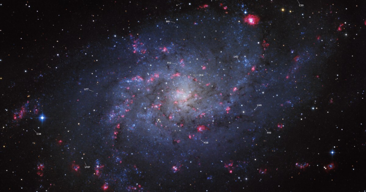 https://www.astronomy.com/wp-content/uploads/2026/10/M33.jpg?resize=1200,630