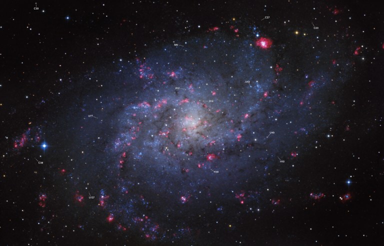 Annotated astrophotograph of the Triangulum Galaxy (M33), a face-on spiral with a pale blue-white core, dark dust lanes, and sweeping blue spiral arms dotted with red and pink star-forming regions, set against a dark star field. A bright blue star with diffraction spikes appears at left. Small white labels with leader lines point to star clusters labeled C20, C27, C38, C39, H10, H38, M9, R12, R14, U49, U62, U77, and U137.