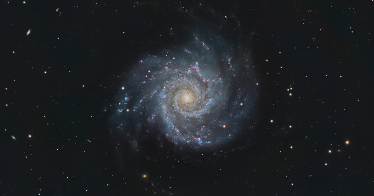 Observe Phantom Galaxy M74 Tonight