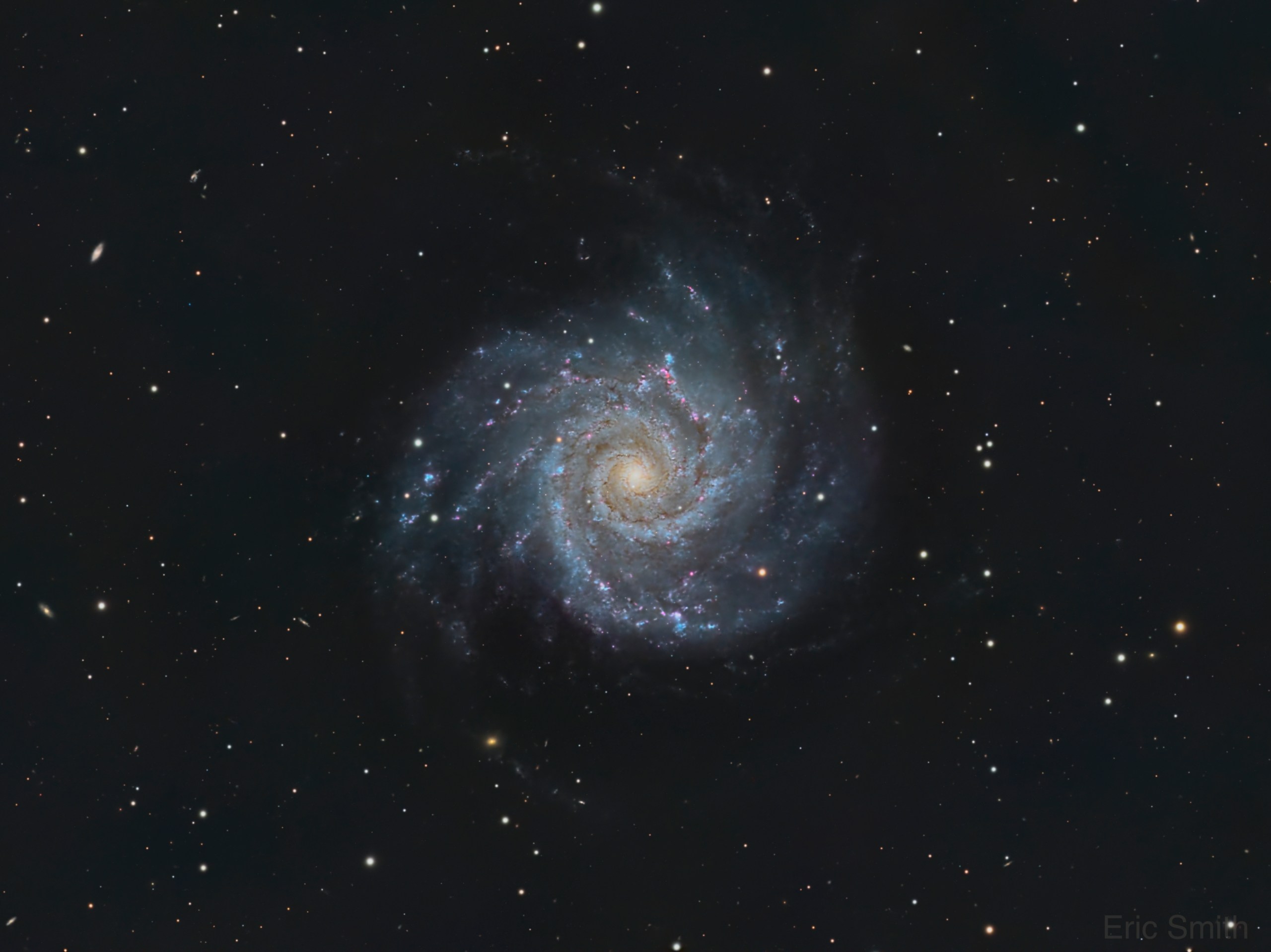 Photograph of the face-on spiral galaxy M74, with a golden-yellow core and tightly wound, blue-white spiral arms threaded with dark dust lanes and scattered pink star-forming regions. Numerous white and orange stars and a few small, distant galaxies are scattered across the black background.