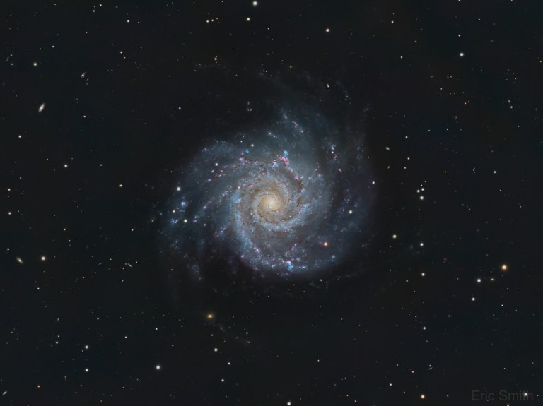 Photograph of the face-on spiral galaxy M74, with a golden-yellow core and tightly wound, blue-white spiral arms threaded with dark dust lanes and scattered pink star-forming regions. Numerous white and orange stars and a few small, distant galaxies are scattered across the black background.