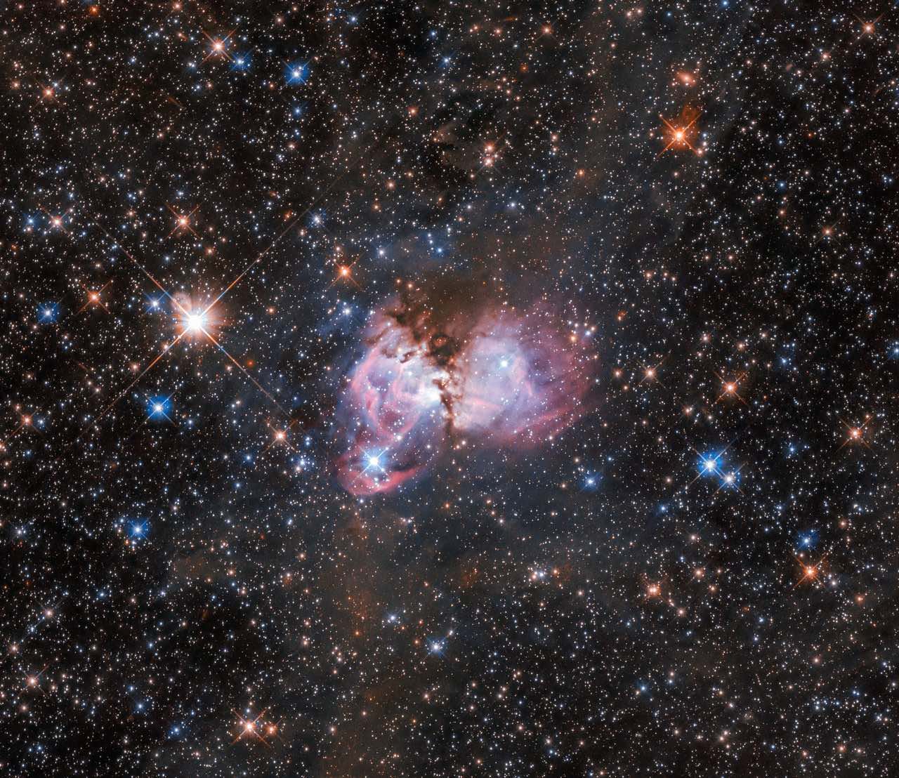 Hubble dissects a tarantula to study how giant stars form