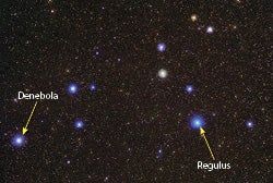 The constellation Leo the Lion hosts  Regulus and Denebola. Credit: Bill and Sally Fletcher.