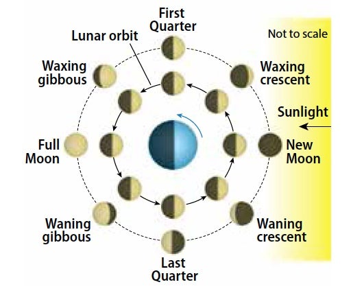 Moon Cycle Mapping