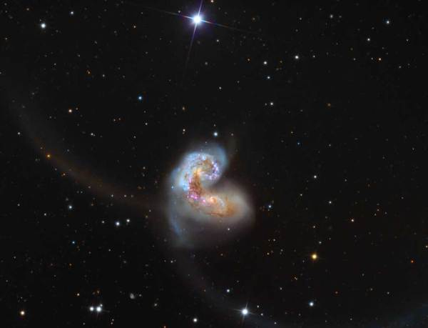 NGC-4038