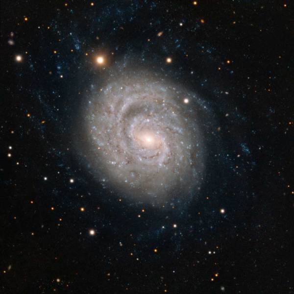 NGC1637