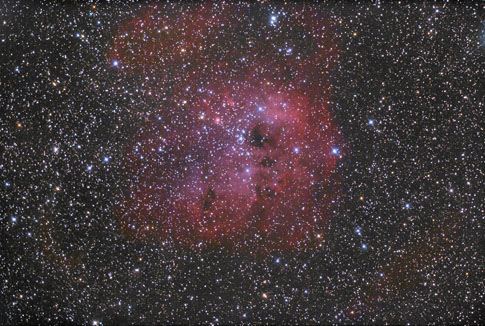 November 2010 WE NGC 1893