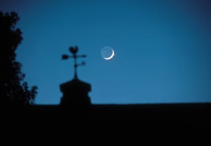 1974 venus occultation
