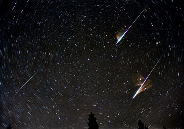 Displaying your Meteorites - Space Rocks - Cloudy Nights