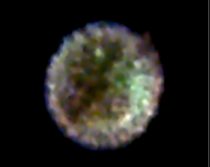 supernova remnant 0509-67.5