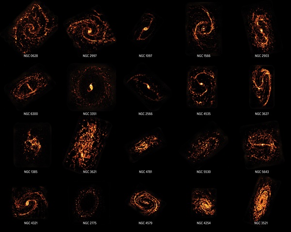 The molecular clouds of 20 different galaxies, as mapped by the ALMA radio telescope