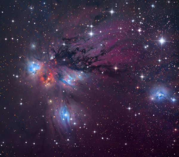 The reflection nebula NGC 2170